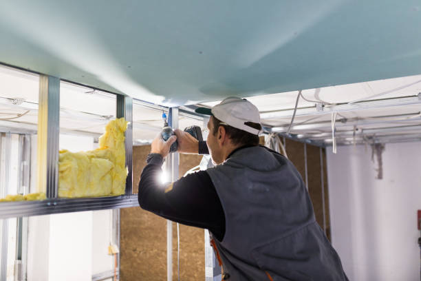 Best Crawl Space Insulation  in Rossville, MD